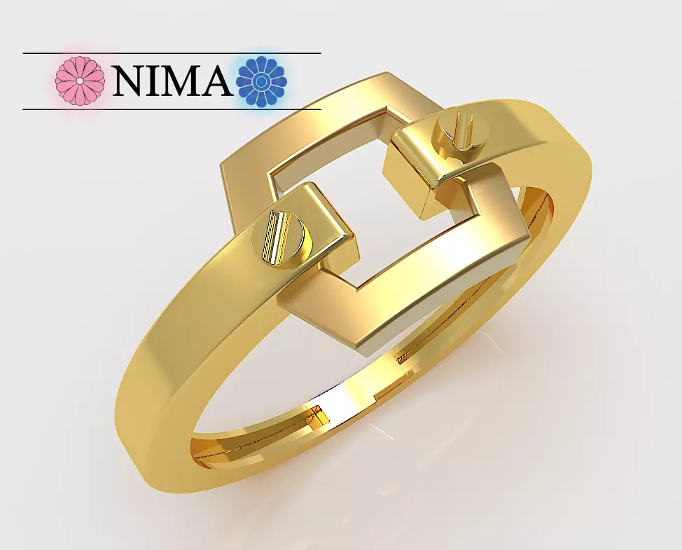 RING NIMA 3D print model