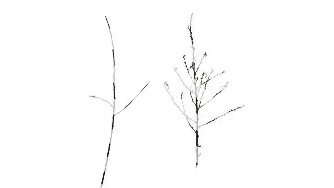 Anydrafts Tree debris 04