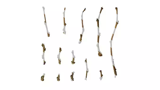 Anydrafts Tree debris 06