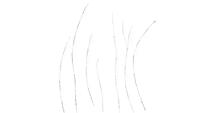 Anydrafts Willow strips 01