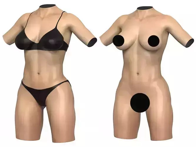 Woman Torso With Cloths and Genitalia 