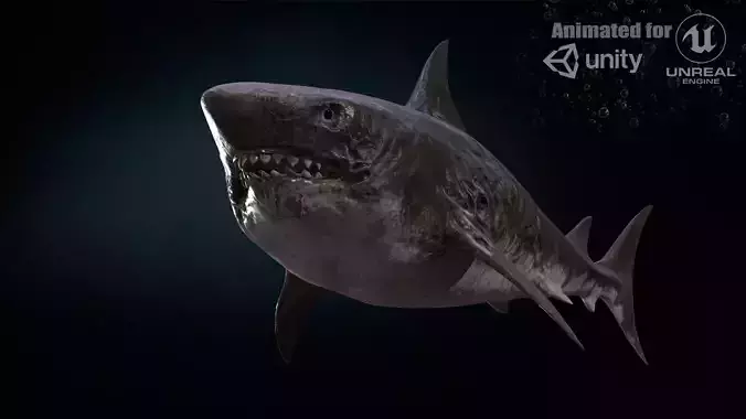 AlienShark 3 Low-poly 3D model