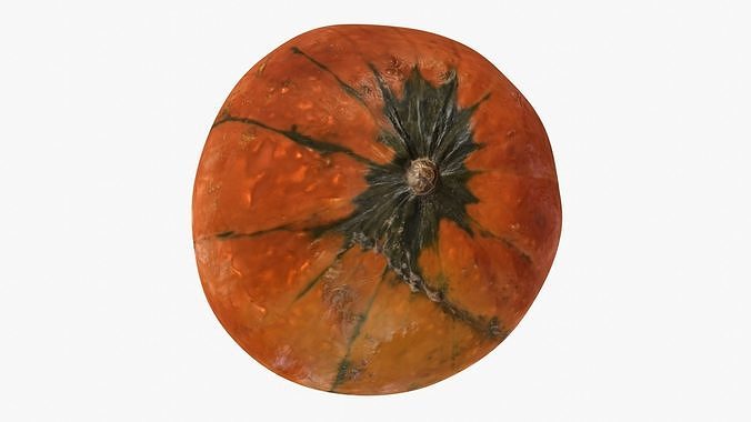 Decorative pumpkin mesdium-size Low-poly 3D model 5