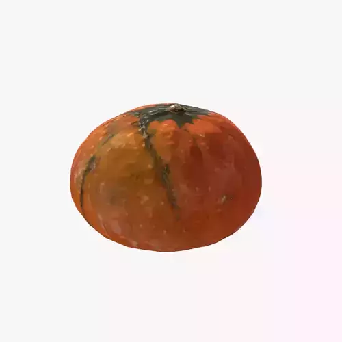Decorative pumpkin mesdium-size