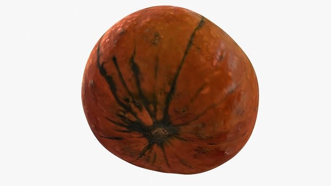 Decorative pumpkin mesdium-size Low-poly 3D model 6