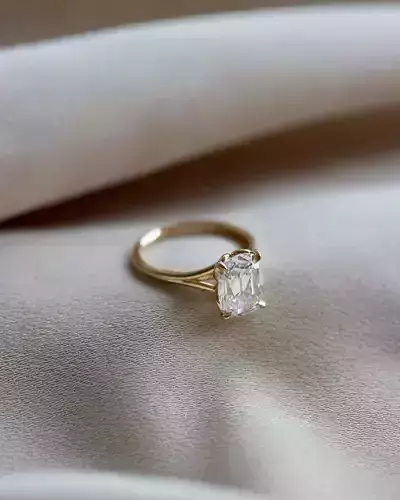 Ring model