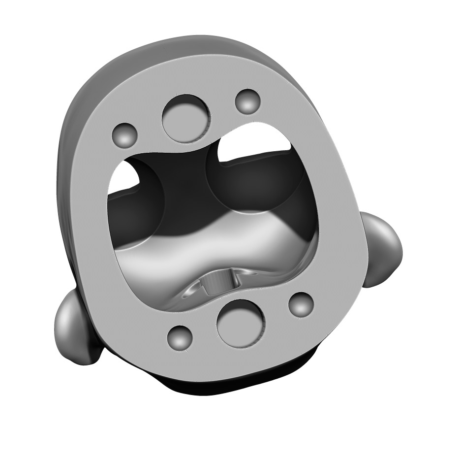 Harper - cheekbones forehead hair neck teeth smile cheeks 3D print model_5