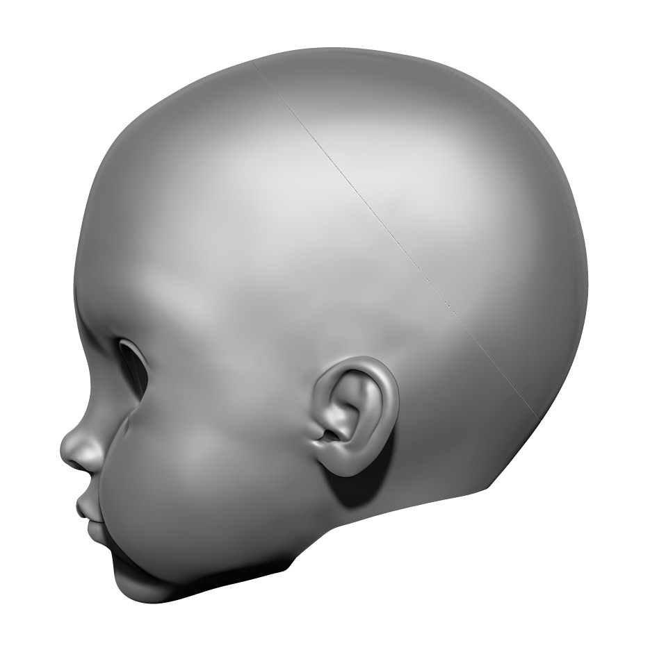 Jessica - Head 3DHead HeadArt Headspace CreativeHead 3D print model_4