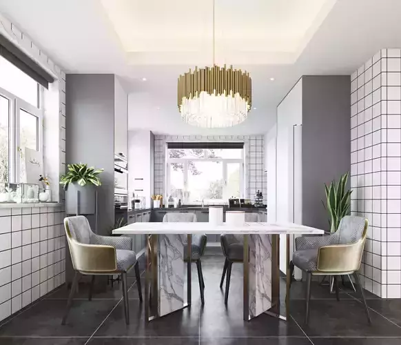 Modern dining room kitchen interior