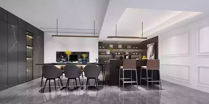 Modern dining room kitchen interior
