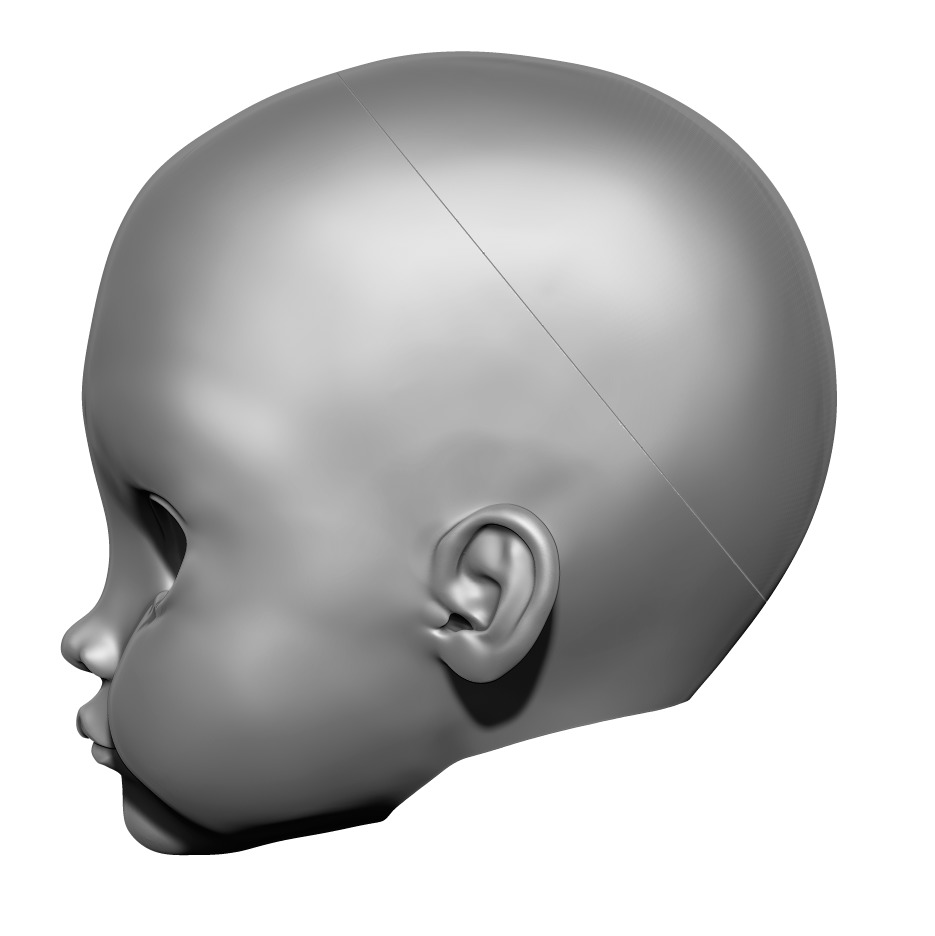 Veronica - Head 3DHead HeadArt Headspace CreativeHead 3D print model_4