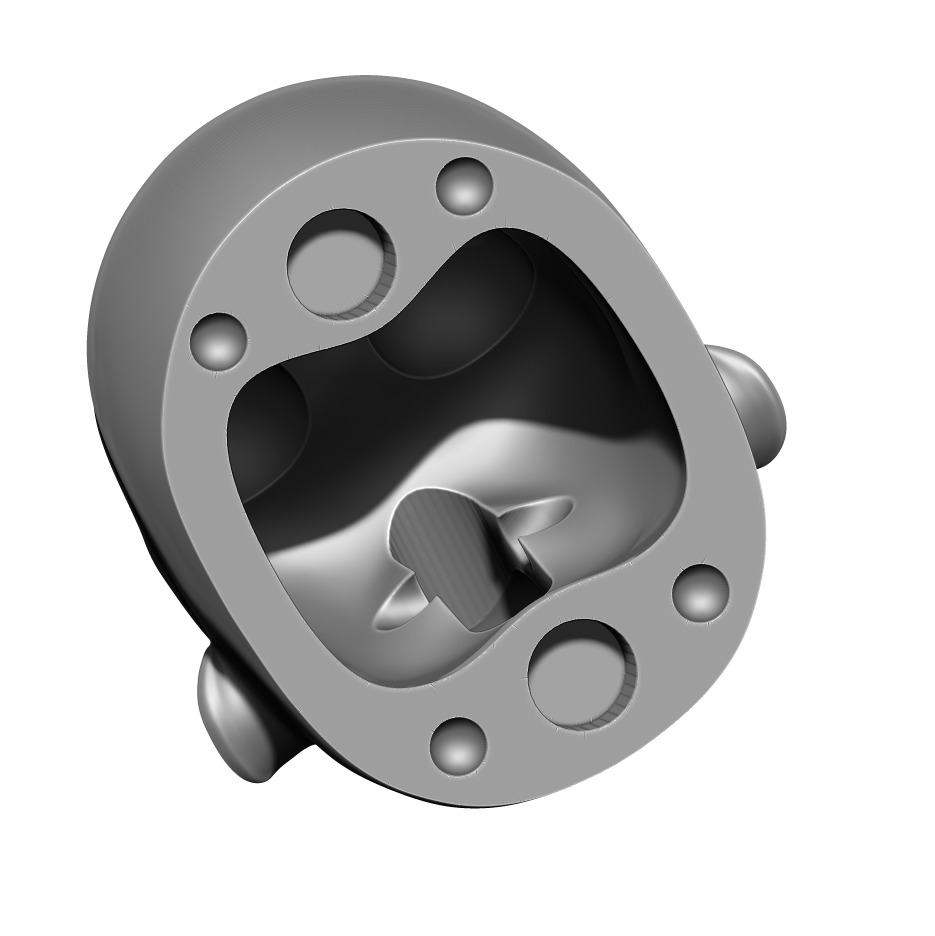 cheekbones forehead hair neck teeth smile cheeks tongue 3D print model_4