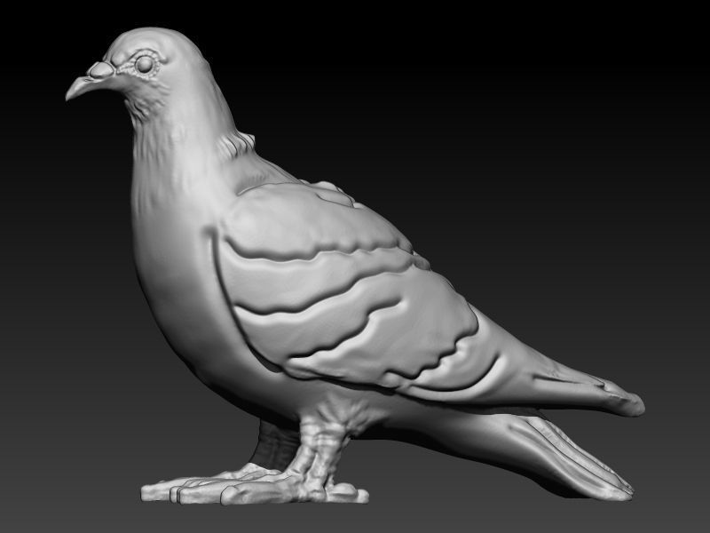 Dove pendant pigeon 3D print model_3