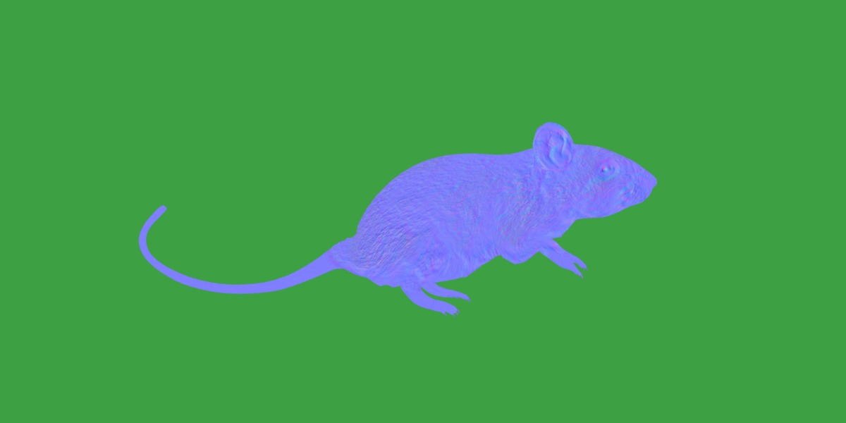 Key Largo Cotton Mouse Low-poly 3D model_6