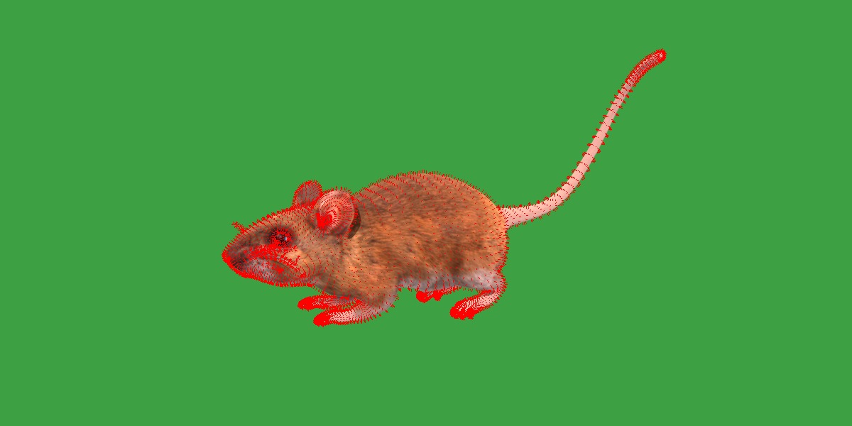 Key Largo Cotton Mouse Low-poly 3D model_20