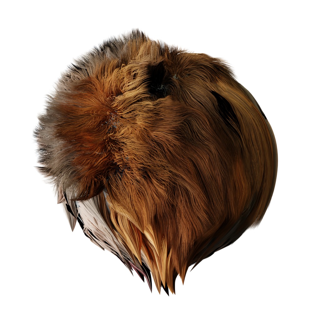 Key Largo Cotton Mouse Low-poly 3D model_45