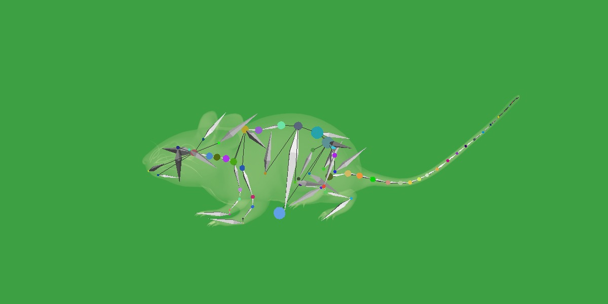 Key Largo Cotton Mouse Low-poly 3D model_29