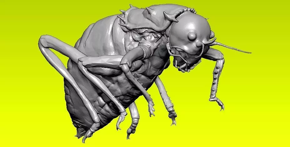 Insect-cricket model - 3D print 3D print model