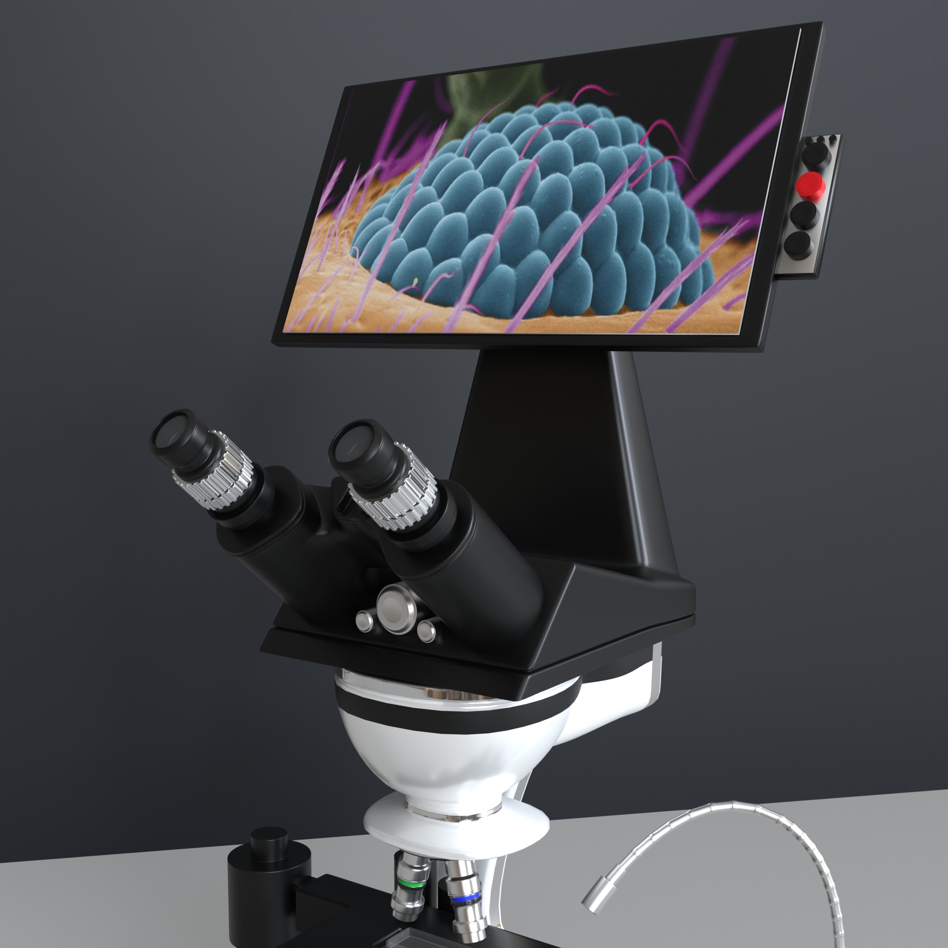 Microscopio Eletronico 3D model_23