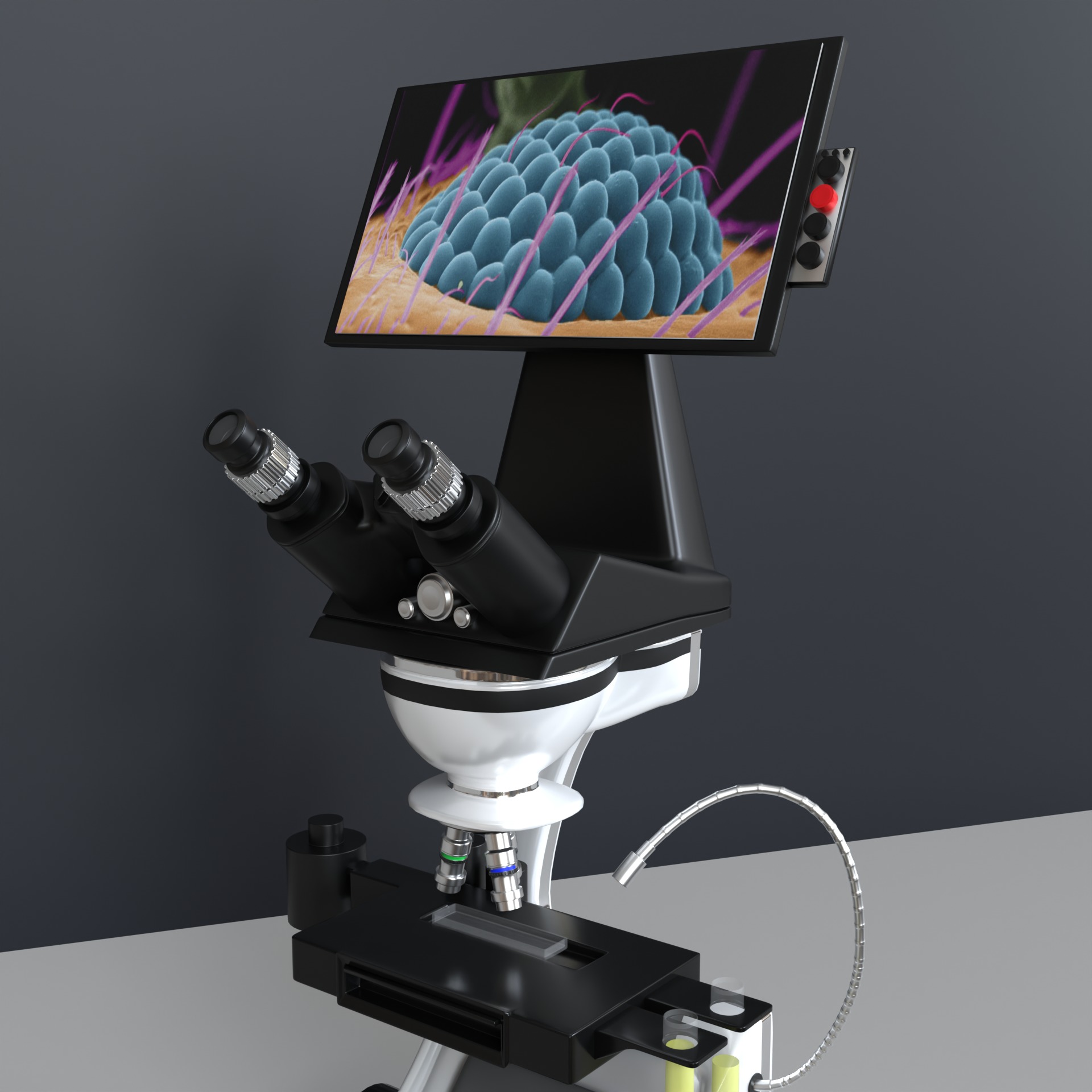 Microscopio Eletronico 3D model_11