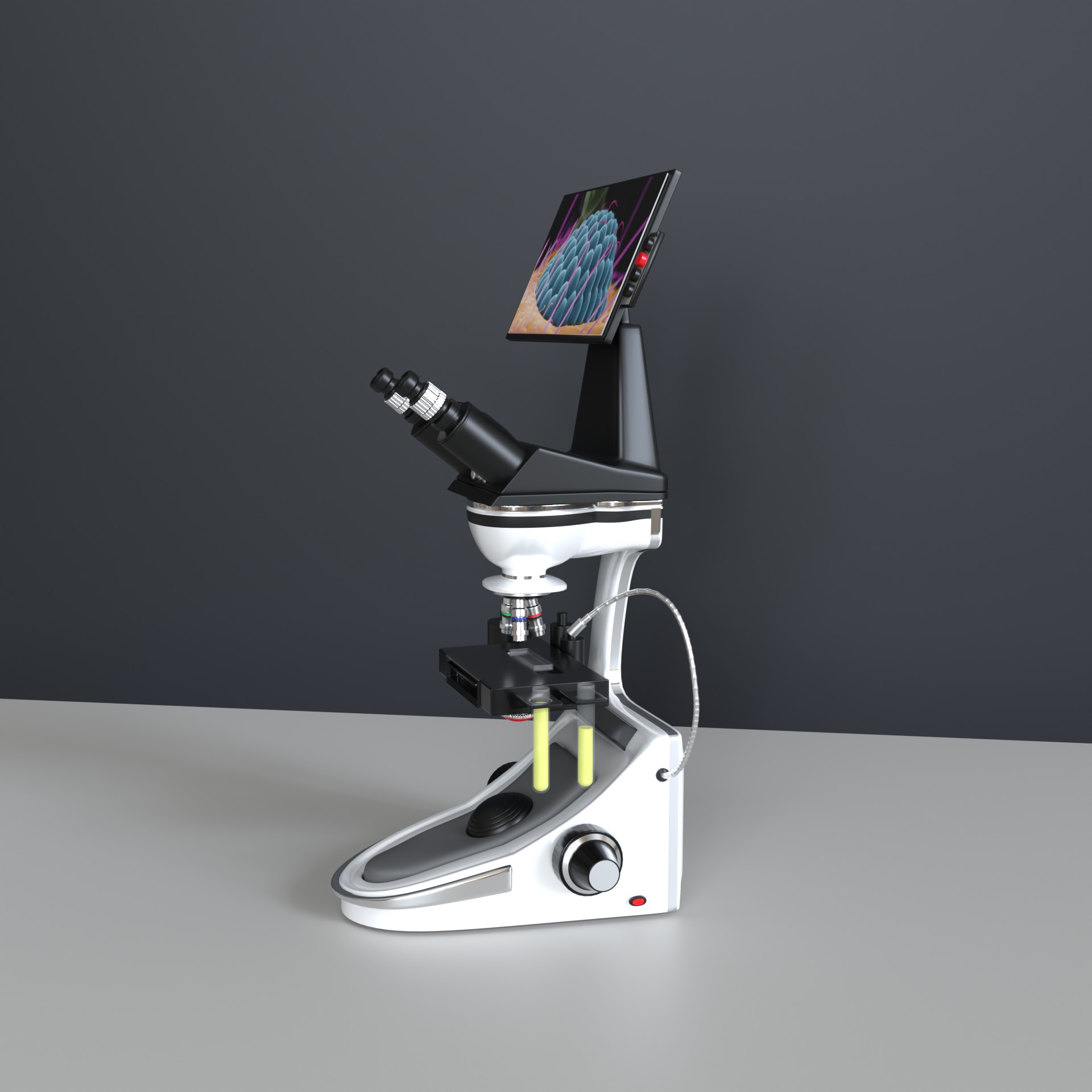 Microscopio Eletronico 3D model_24