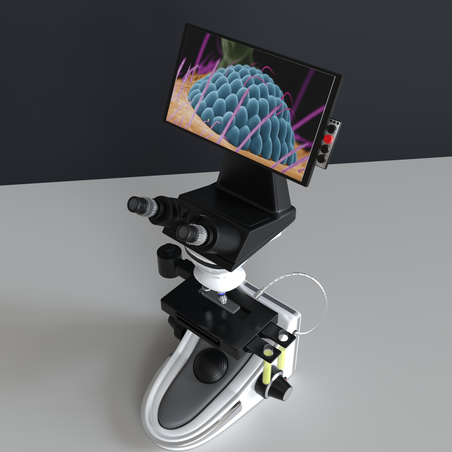 Microscopio Eletronico 3D model_22