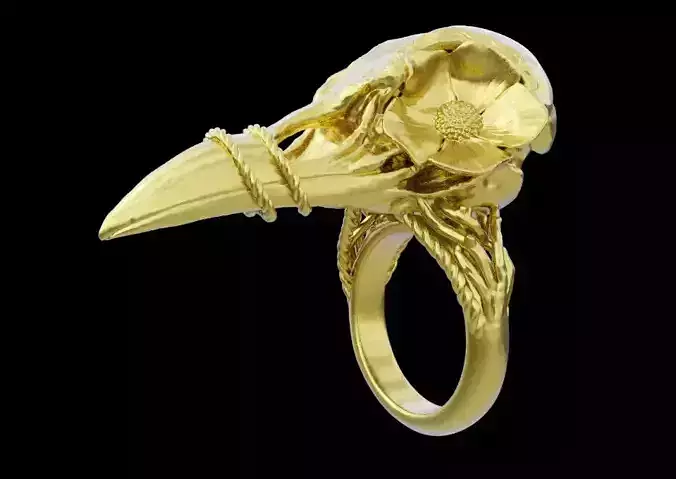 Bird Ring