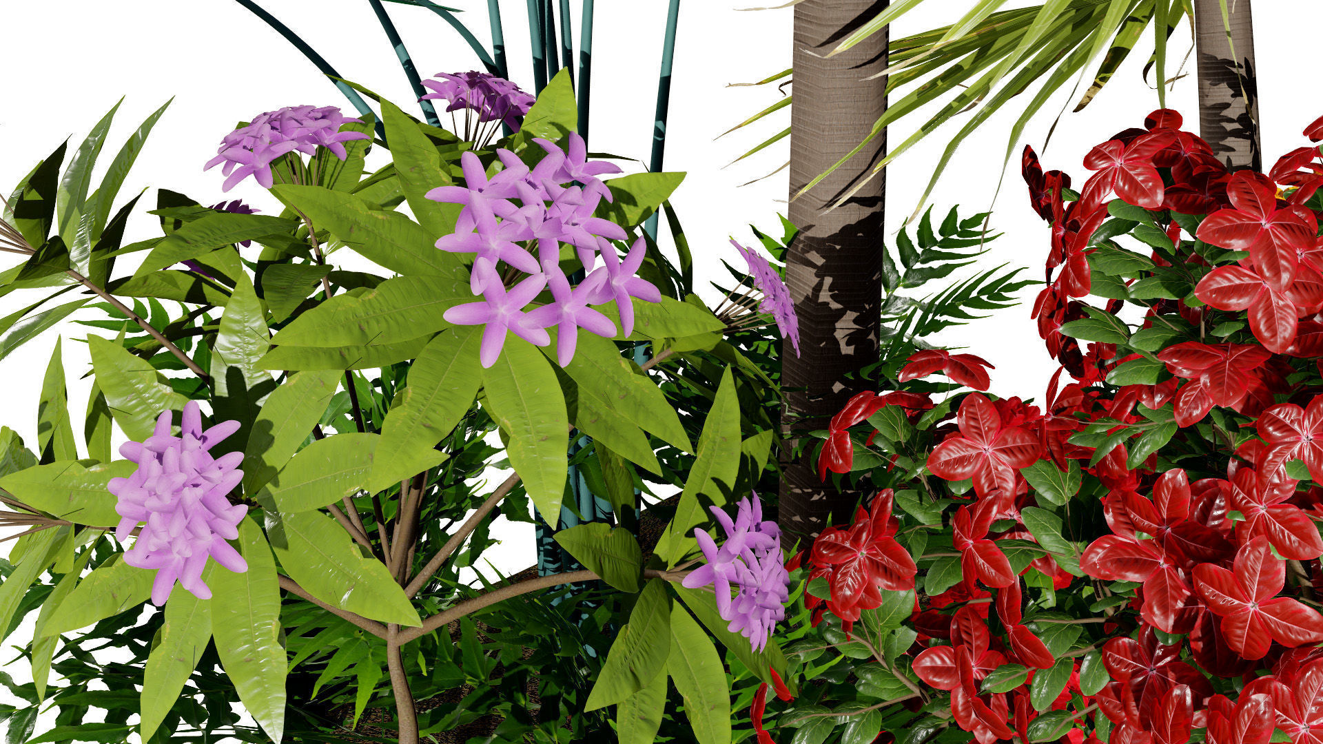 Tropical Island Plant Collection 3D Model Low-poly 3D model_3