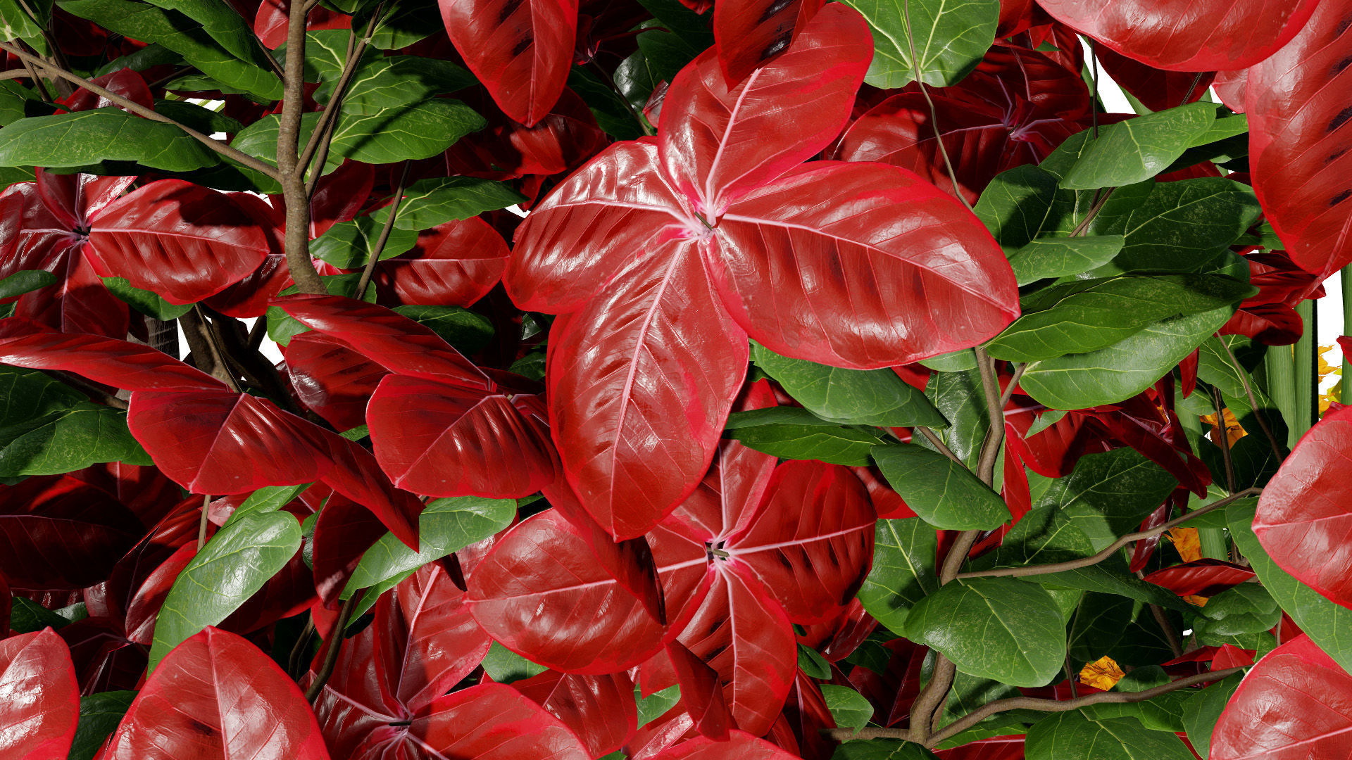 Tropical Island Plant Collection 3D Model Low-poly 3D model_11