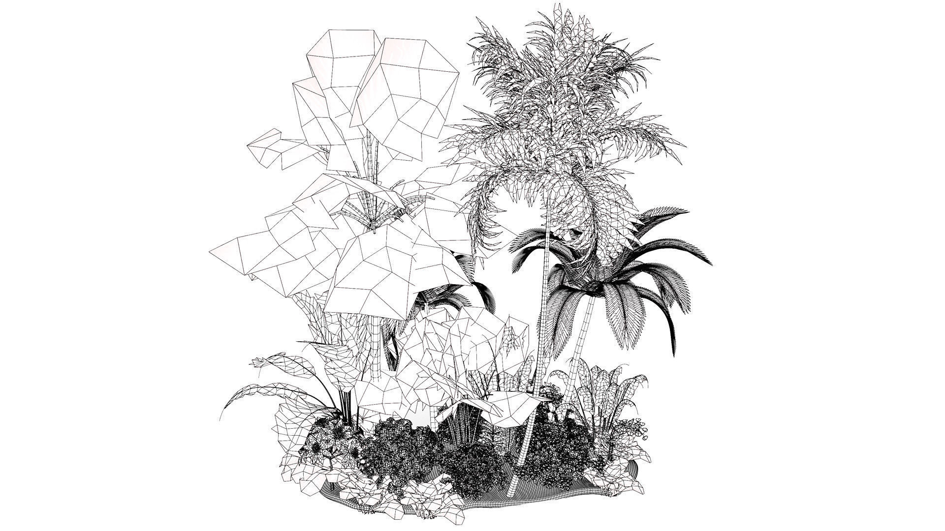 Tropical Island Plant Collection 3D Model Low-poly 3D model_13