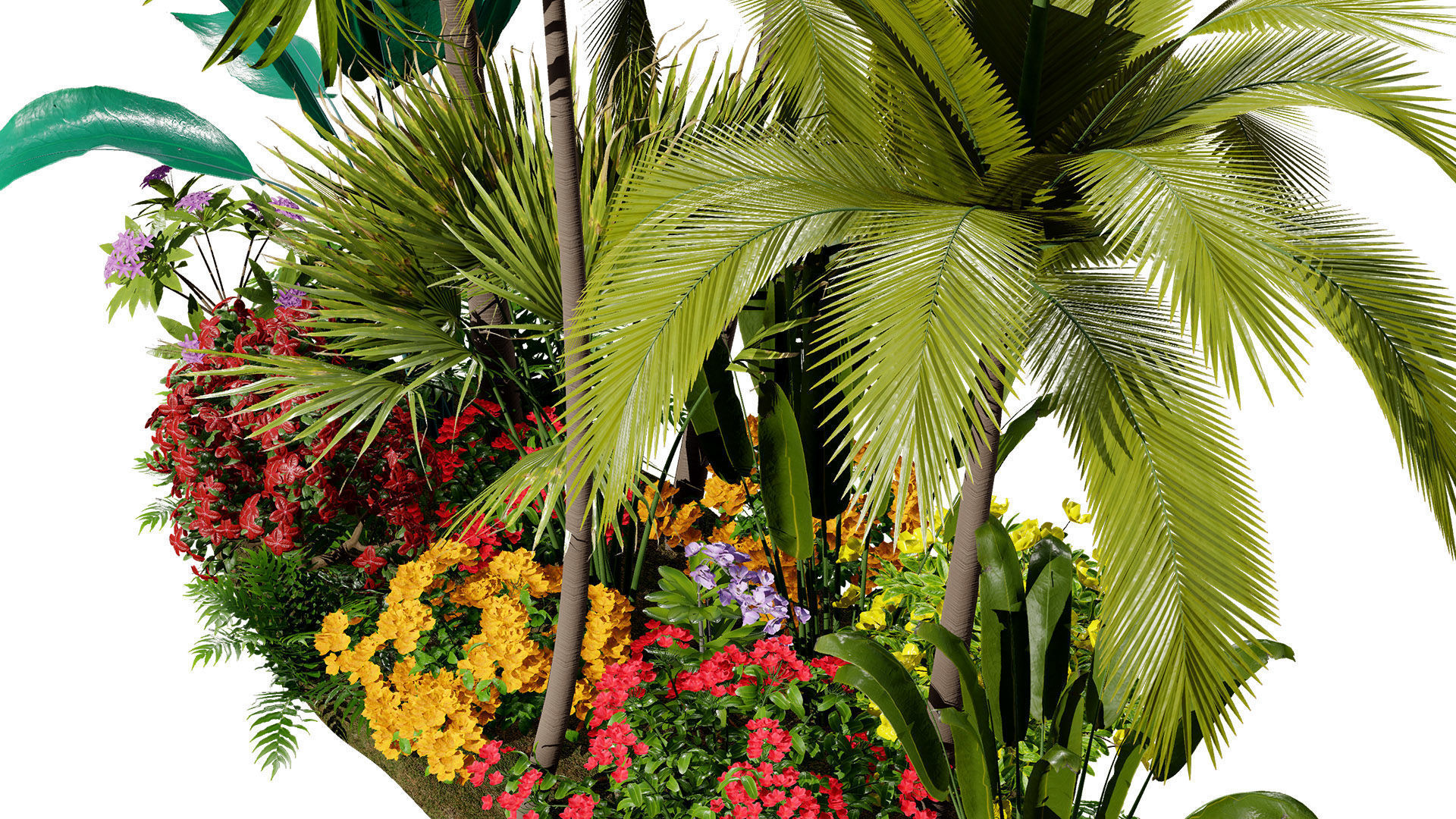 Tropical Island Plant Collection 3D Model Low-poly 3D model_4
