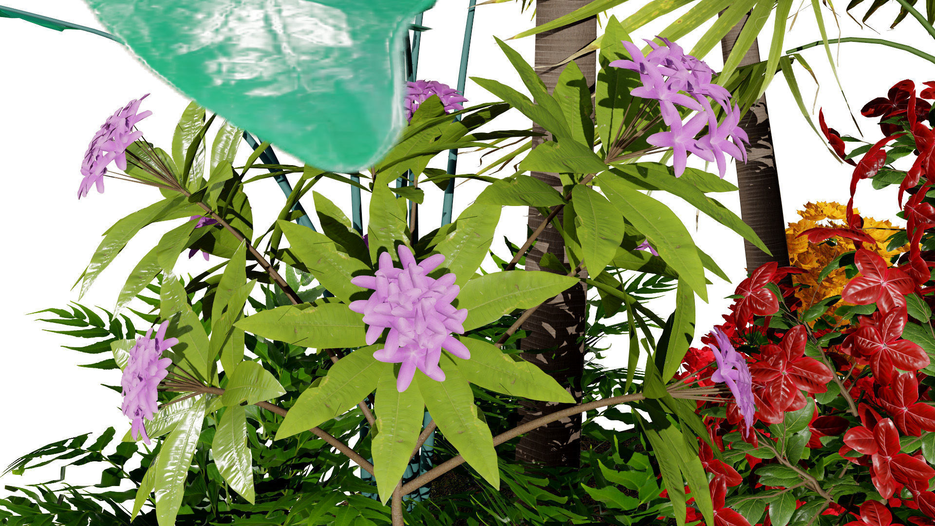 Tropical Island Plant Collection 3D Model Low-poly 3D model_8