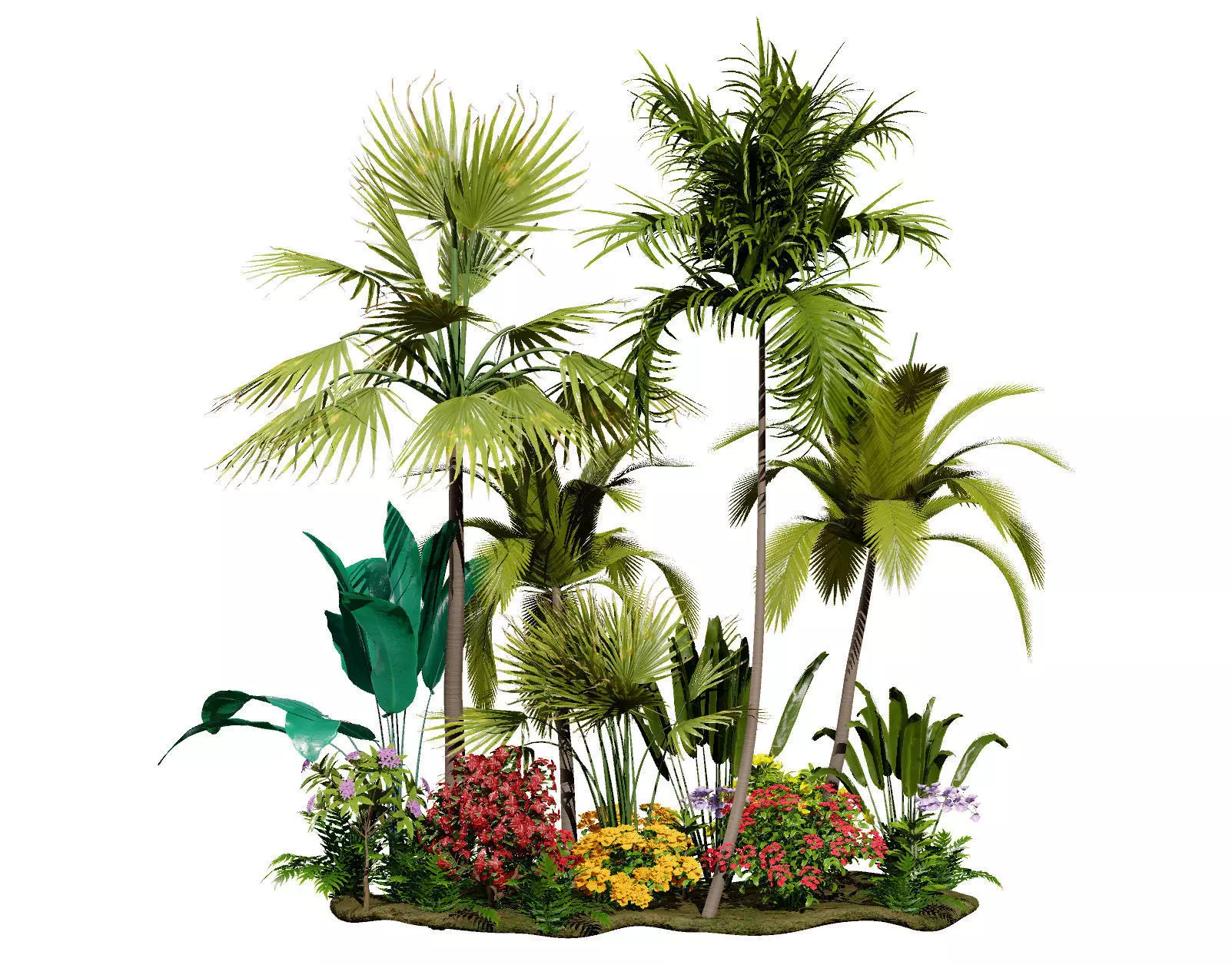 Tropical Island Plant Collection 3D Model Low-poly 3D model_0