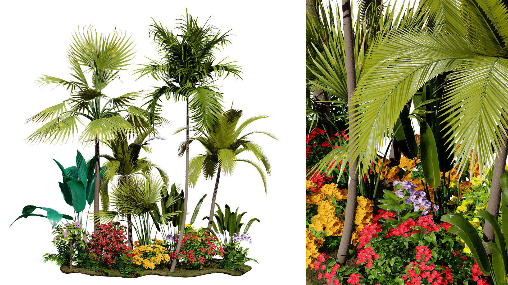 Tropical Island Plant Collection 3D Model Low-poly 3D model_2