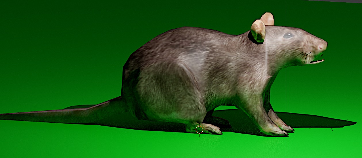 Low poly rat Low-poly 3D model_1