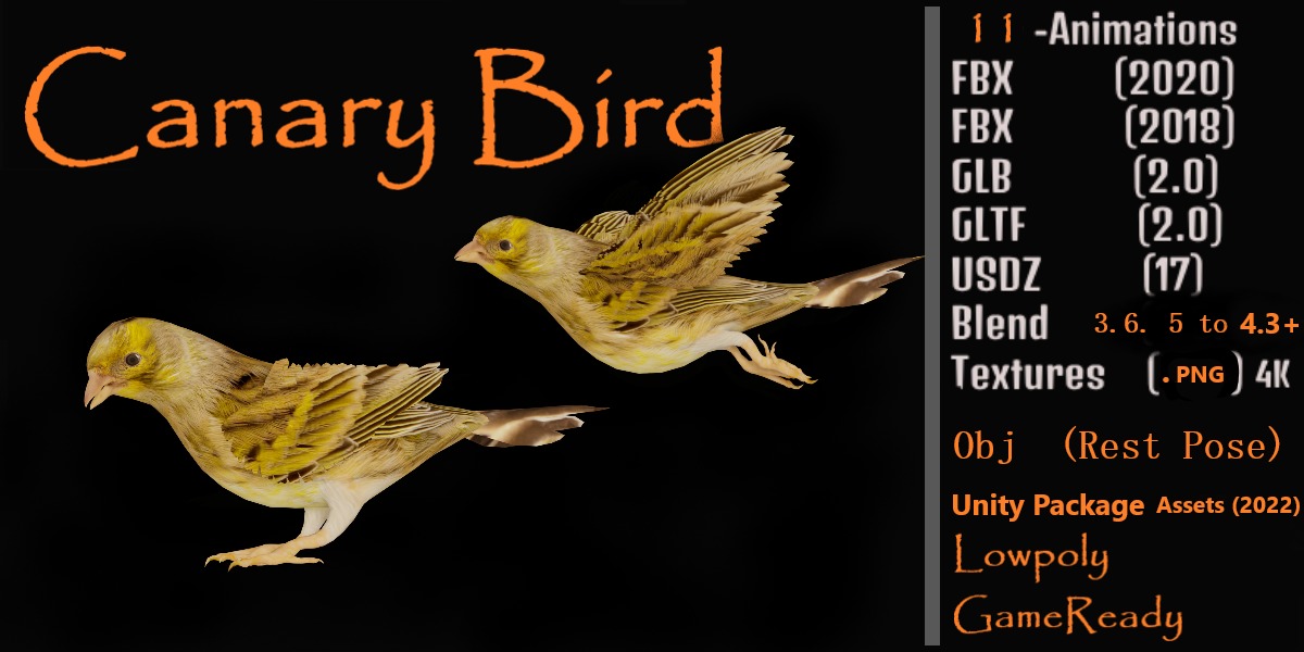 Canary Bird Low-poly 3D model_2