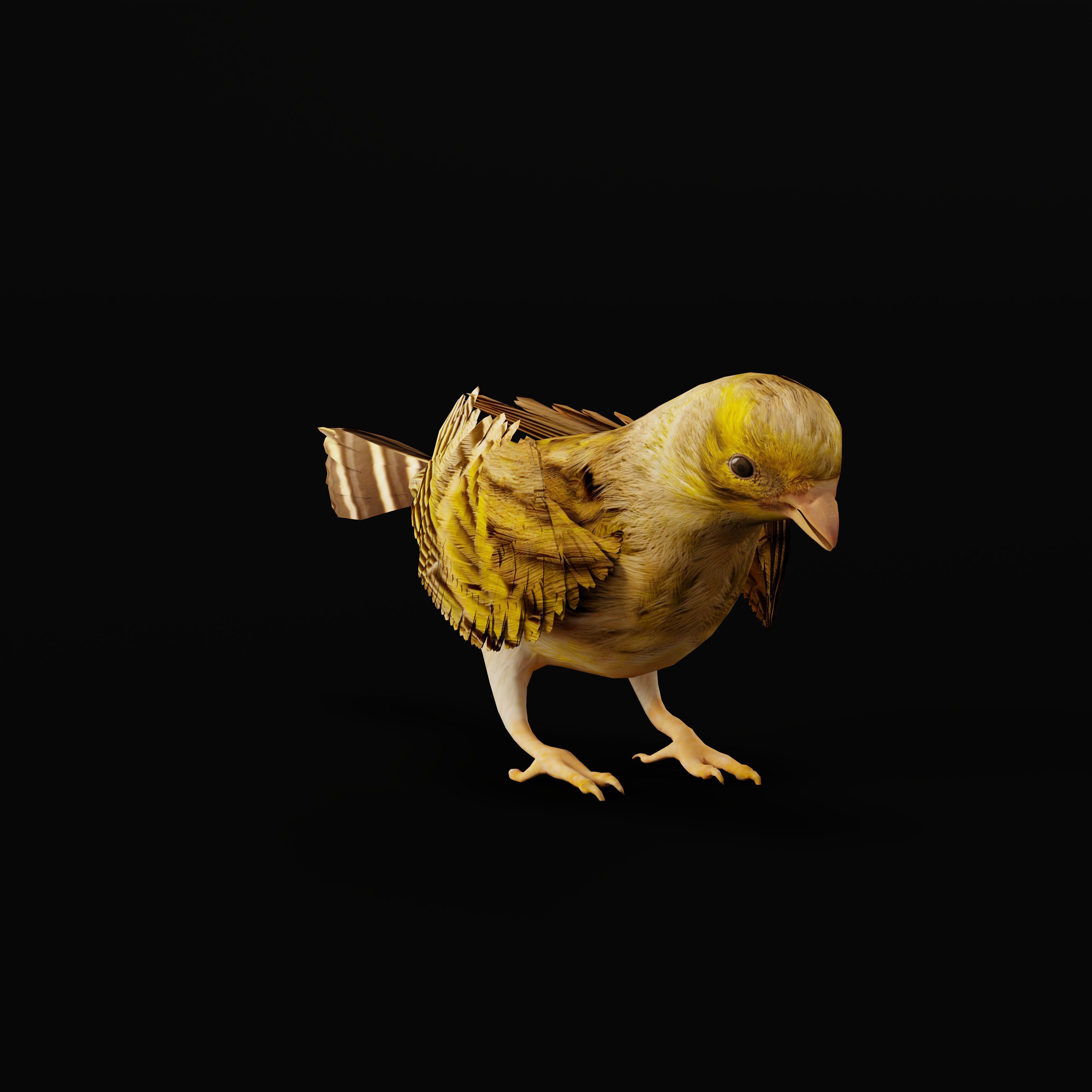 Canary Bird Low-poly 3D model_8