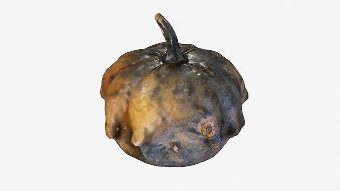 Decorative pumpkin pockmarked 3D model 7