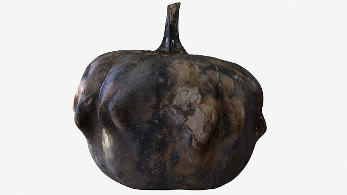 Decorative pumpkin pockmarked 3D model 3