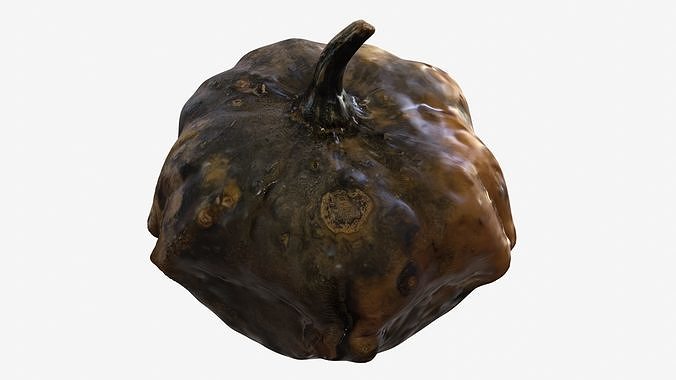 Decorative pumpkin pockmarked 3D model 2