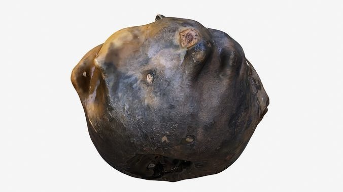 Decorative pumpkin pockmarked 3D model 6