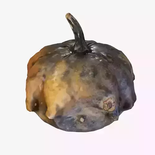 Decorative pumpkin pockmarked