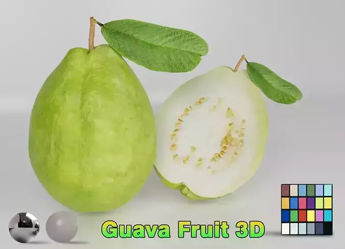 Guava Fruit 3D