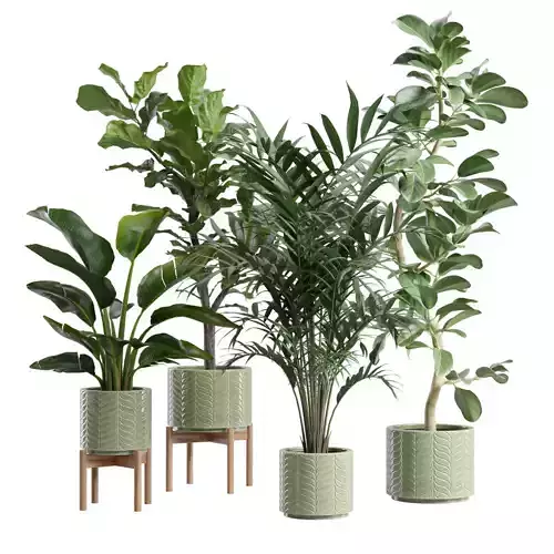 Indoor Plants Pack 83