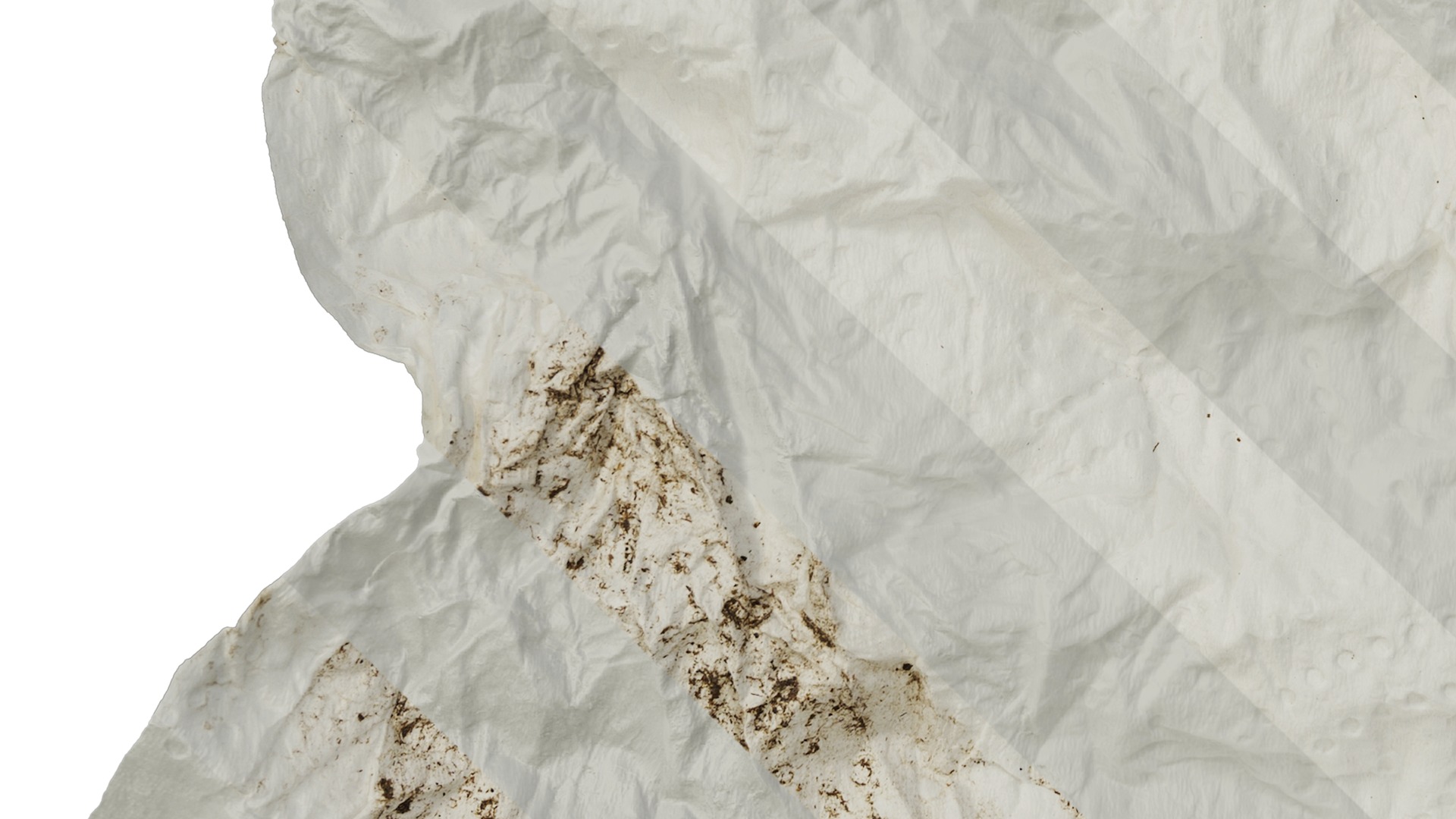 Anydrafts Toilet paper 04 Texture_5