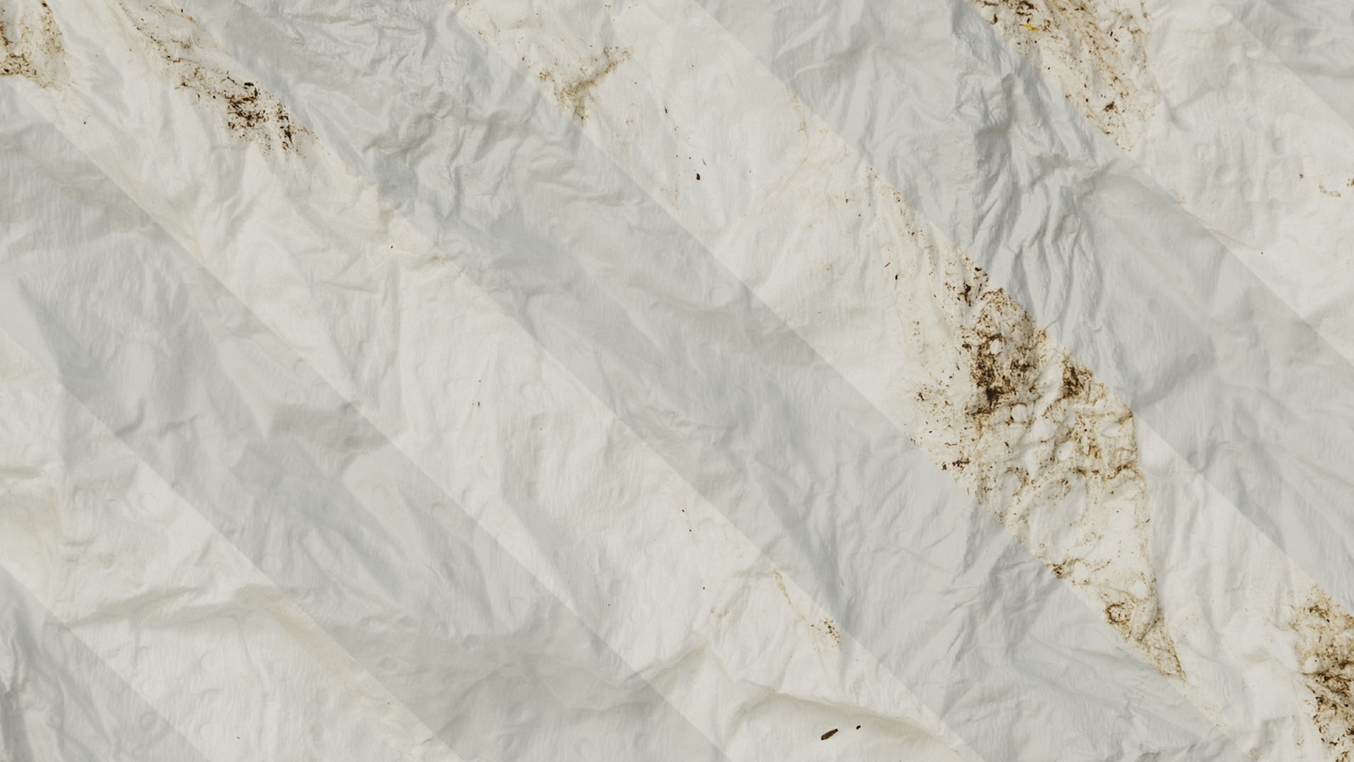 Anydrafts Toilet paper 04 Texture_7