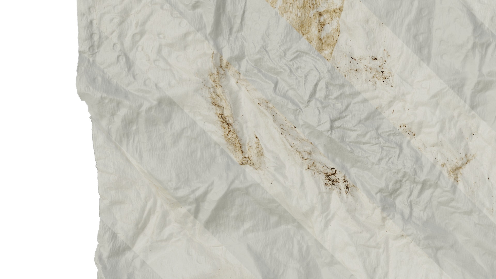 Anydrafts Toilet paper 04 Texture_3