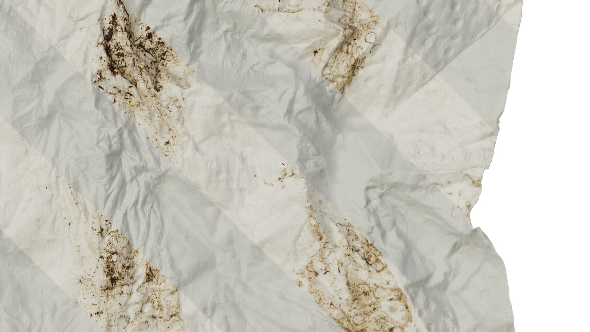 Anydrafts Toilet paper 04 Texture_4