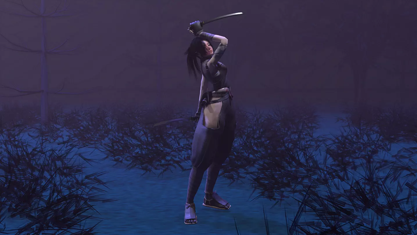 Ayame Tenchu Game Ready Rigged 3D Character Low-poly 3D model_0