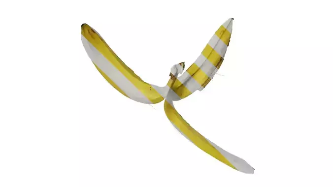 Anydrafts Banana peel 02 Texture